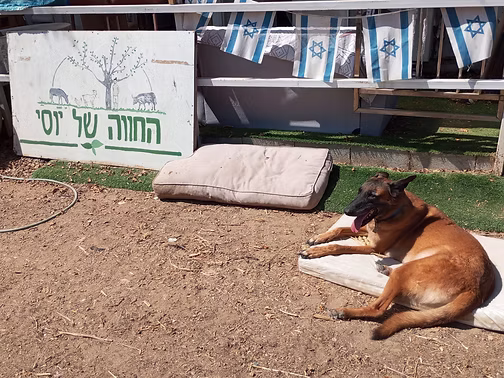 6982fa d0a8a83cf64a49c89350c0cb1d3ae69c~mv2